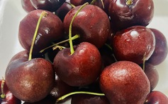 Cherry, nho khô, đùi gà đông lạnh được giảm thuế nhập khẩu