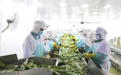 'Vua nha đam' thu lãi kỷ lục nhờ nắng nóng