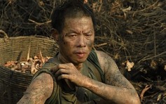 'Địa đạo' có Thái Hòa, Quang Tuấn đạt doanh thu 100 tỉ đồng