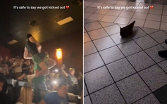 Mang gà sống vào rạp khi xem 'A Minecraft Movie', khán giả bị mời ra ngoài