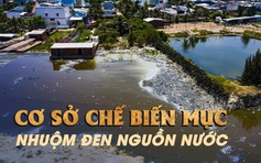 Bình Định: Người dân kêu trời vì hàng chục cơ sở chế biến mực gây ô nhiễm