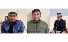 Khai thác đất trái phép thu lợi hơn 13 tỉ đồng