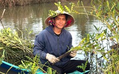 Chàng trai kiếm 100 triệu đồng/tháng từ cây trồng chịu mặn