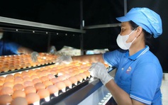 50 năm đất nước thống nhất: Nơi đất lành chim đậu