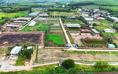 Dừng các hoạt động không đúng mục tiêu tại dự án sản xuất rau an toàn ở Bình Định