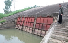 Cống thoát lũ không chịu... thoát nước