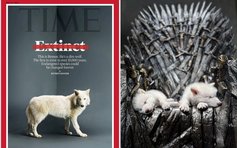 Đã hồi sinh được sói trắng tuyệt chủng từ Kỷ băng hà