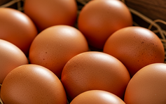 Ngày mới với tin tức sức khỏe: Trứng tốt với gan thế nào?