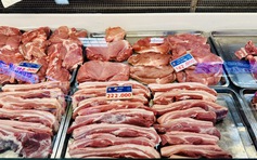 Giá heo hơi hôm nay 10.5.2025: Cao nhất 75.000 đồng/kg