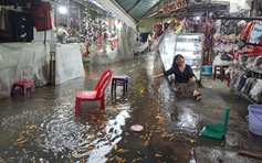 Long An: Mưa lớn gây ngập chợ Tân An, nhiều cây xanh ngã đổ