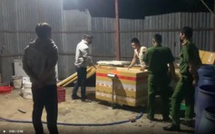 Để nạn heo chết hết đường 'sống'