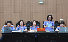 Vụ 'tuồn' đất hiếm sang Trung Quốc: Chủ tịch Công ty Thái Dương phải nộp 736 tỉ