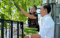 Gia đình trồng rau sạch trên sân thượng: Ăn không xuể, mang tặng bạn bè