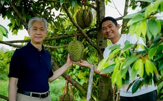 Sầu riêng Campuchia tìm đường cạnh tranh ở Trung Quốc