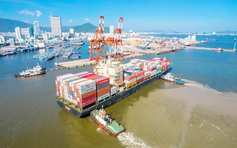 Khẩn trương tái định cư cho 56 hộ dân để mở rộng cảng Quy Nhơn