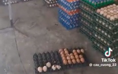 Kiến nghị Bộ Công an điều tra người tung tin trứng giả