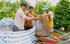 'Vua' cá chình miền Tây: Hành trình làm giàu từ 1 ha đất cằn cỗi