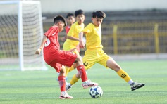 Giải U.13 T&T Cup 2025: Kết nối hệ sinh thái bóng đá trẻ Việt Nam