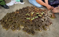 Triệt phá đường dây đa cấp xuyên quốc gia, lôi kéo hơn 9.000 người tham gia