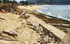 Bình Định: Chấm dứt dự án kè chống xói lở 80 tỉ đồng có nhiều vi phạm