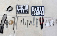 Cà Mau: Triệt phá đường dây trộm xe máy liên tỉnh