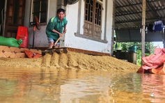 Lũ về bất thường, người dân Hà Tĩnh thiệt hại nặng