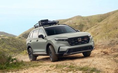 Honda CR-V 2026 có thêm phiên bản cho người thích off-road