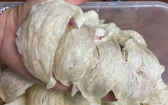 Bác sĩ chỉ cách nhận biết tổ yến thật - giả