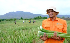'Vua nha đam' bật mí bí quyết tăng lợi nhuận 100%