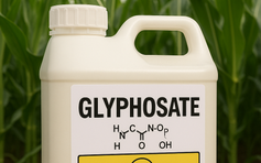 Phát hiện lượng lớn thuốc trừ sâu trong băng vệ sinh ở Anh