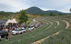 Vì sao 30.4 Đà Lạt vắng vẻ, qua 1.5 đông nghẹt du khách?