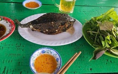 Xác minh vụ nhà hàng bè ở Nha Trang bị tố bán cá bò hòm 3,5 triệu đồng/kg