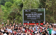 Hà Anh Tuấn, Phan Mạnh Quỳnh, Đen... cùng chơi nhạc, trồng rừng trong 5 năm tới