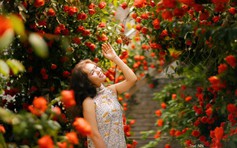 Người phụ nữ mua 5.000 bông hồng biến sân thượng thành vườn hoa