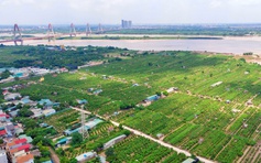 Hà Nội đề xuất cho xây nhiều loại công trình trên đất nông nghiệp ở bãi sông
