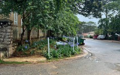 Tháo dỡ hàng rào lấn chiếm lề đường ở Khu du lịch hồ Than Thở