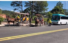 Xe ngựa chở du khách không được hoạt động trong KDL hồ Tuyền Lâm
