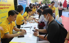 Ngỡ ngàng với CV trình bày tiếng Anh trau chuốt nhưng... do người khác viết hộ