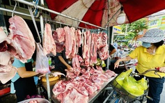 Giá heo hơi hôm nay 17.6.2025: Có nơi giảm đến 2.000 đồng