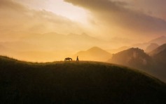 Ngắm loạt cảnh đẹp Việt Nam trong giải thưởng nhiếp ảnh quốc tế