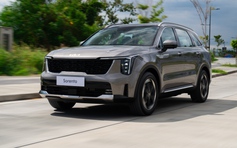 Loạt SUV, crossover mới sắp đổ bộ thị trường Việt Nam