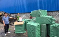 Tiêu hủy gần 2.000 gấu bông Baby Three chứa chất độc