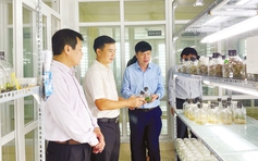 Mục tiêu tỉnh Quảng Trị đến năm 2030 trong phát triển KH-CN, ĐMST và chuyển đổi số