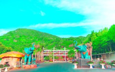 Rừng Thông Núi Voi - Điểm du lịch sinh thái mới giữa lòng Đà Lạt