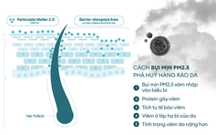 Bảo vệ sức khỏe làn da trước ô nhiễm bụi mịn
