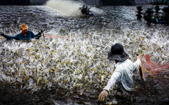 Hợp nhất Bạc Liêu - Cà Mau mở rộng không gian phát triển