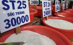 Gạo ST25 giả nhãn hiệu nở rộ, vì sao?