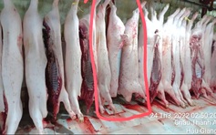 Vụ Công ty C.P bị tố 'bán thịt bẩn': Công an Hậu Giang, Sóc Trăng xác minh