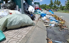 Rác nhếch nhác trên đường