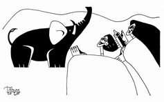 Phép màu cho Gold - Truyện ngắn dự thi của Trần Thị Tú Ngọc